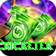 shahrukh khan cricketer VIP v2.5.5