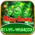 steve waugh Premium Plus v5.6.4