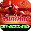 t 20 world cup 2022 VIP PK v5.7.9