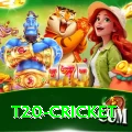 t20 cricket VIP