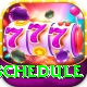 t20 schedule VIP Edition v2.8.4