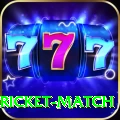 to day cricket match Premium Plus v3.8.4