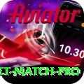 to day cricket match Deluxe - Free Download