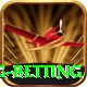 turkey super lig betting Games (Casino & Earning) Deluxe v3.7.9