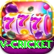 v cricket Pro1 v2.6.4