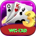 wc t20 Plus Pro v2.3.3