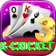 west indies cricket Gold v5.6.1