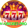 willow cricket Bonus Pro v4.7.7